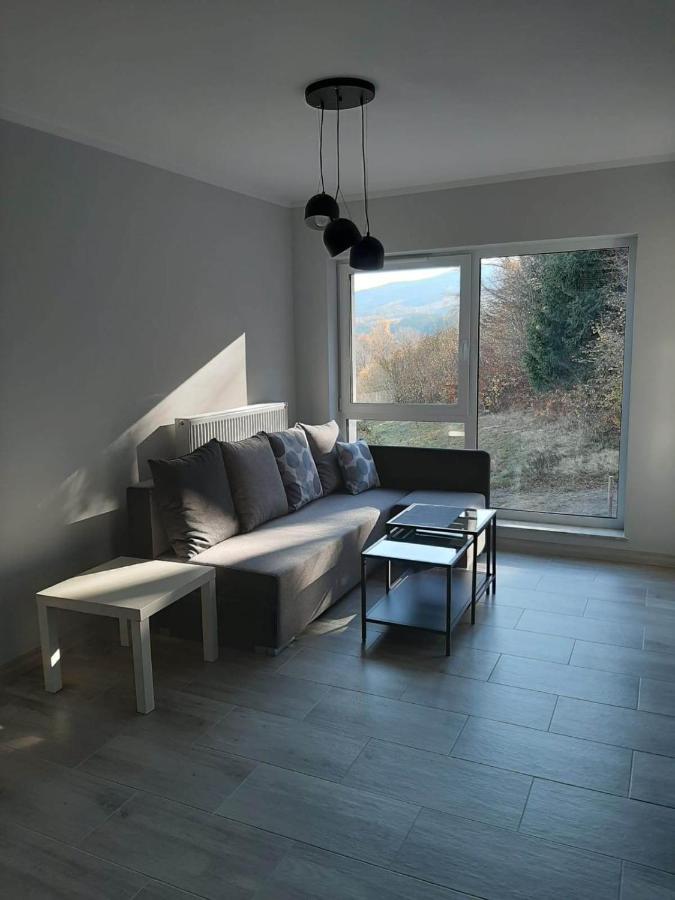 Apartament Lilu شكلارسكا بوريبا المظهر الخارجي الصورة